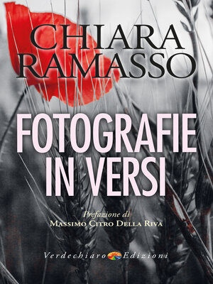 cover image of Fotografie in Versi